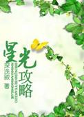 星光攻略免费阅读完整版