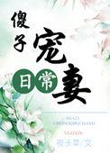 傻子甜宠文