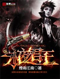 永夜君王笔趣阁TXT