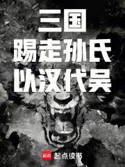 三国踢走孙氏以汉代吴 TXT