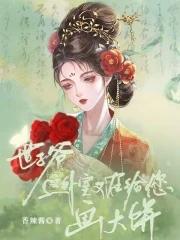 世子爷这外室又在给您画大饼 傅予白是皇子吗