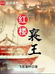 红楼襄王无防盗