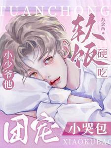 团宠小少爷by