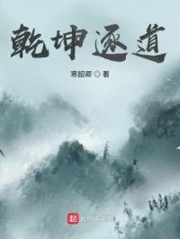乾坤e道是什么东西
