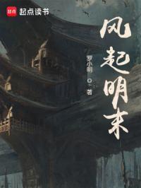 风起明末讲什么