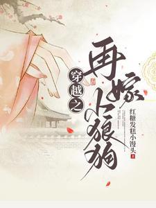 再嫁小夫郎全文