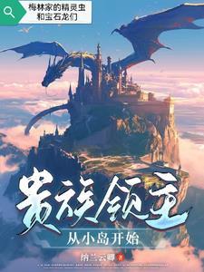 贵族领主从小岛开始TXT免费