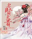 妻闲夫贵免费阅读