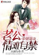 隐婚老公甜甜宠大结局