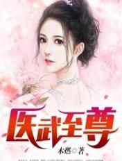 医武至尊结局