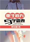 重生渣夫与学霸妻全文阅读