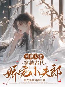 穿越古代娇宠小夫郎最