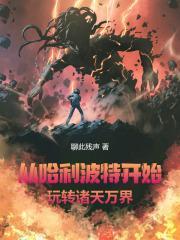 从哈利波特开始玩转诸天万界 聊此残声