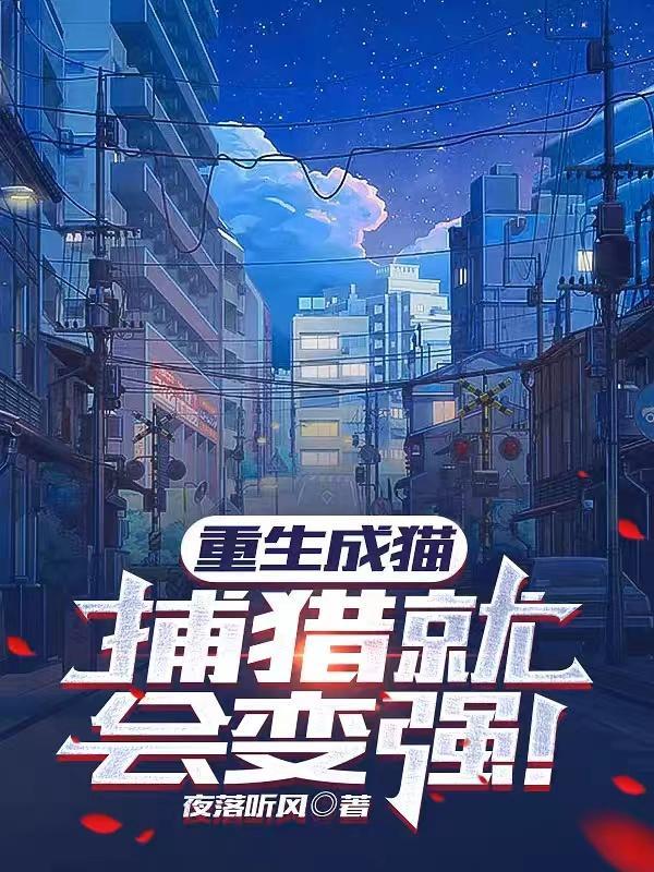 流浪猫会饿死吗?