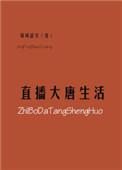 直播大唐生活txt