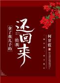 拿了我儿子的给我还回来何甘蓝txt