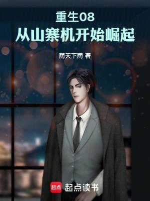 重生从山寨到首富爱看书吧