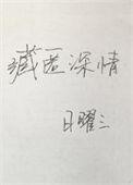 藏匿情深txt