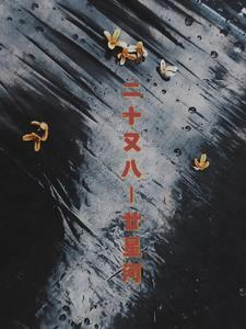 二十十×5