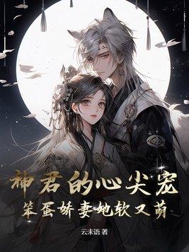 神君的宠姬/迟迟