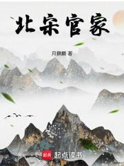 北宋官家百度百科