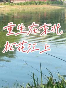 重生在东北松花江上书评