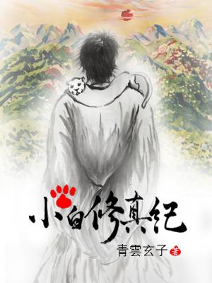 小白爽文修真