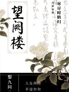 望阙楼黎九问原著叫什么
