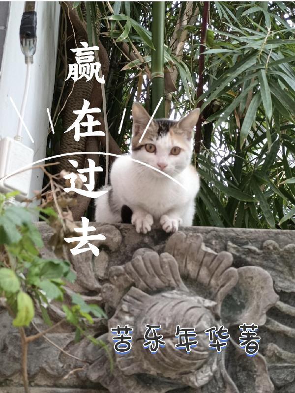 赢在……作文