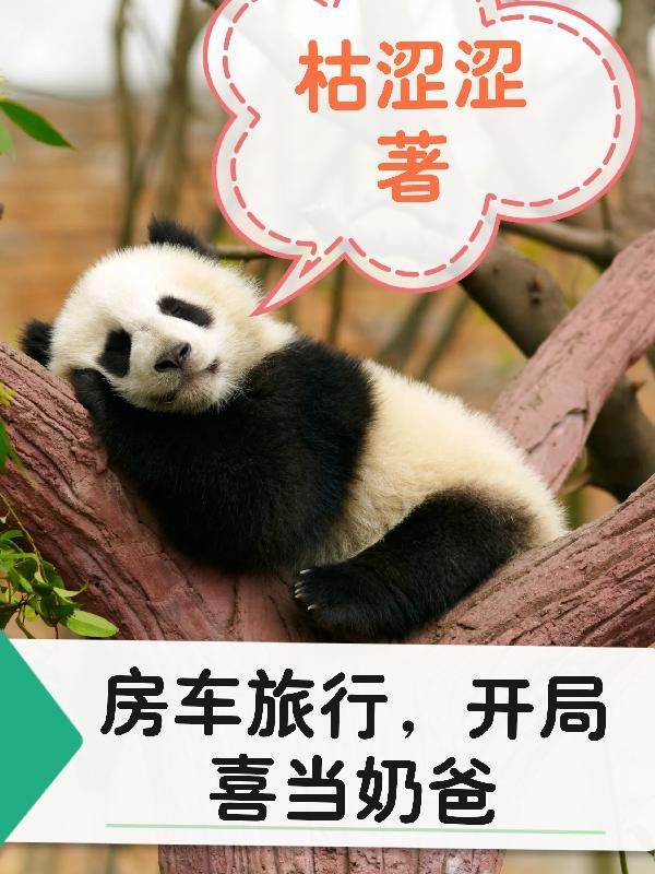 开着房车自驾游的