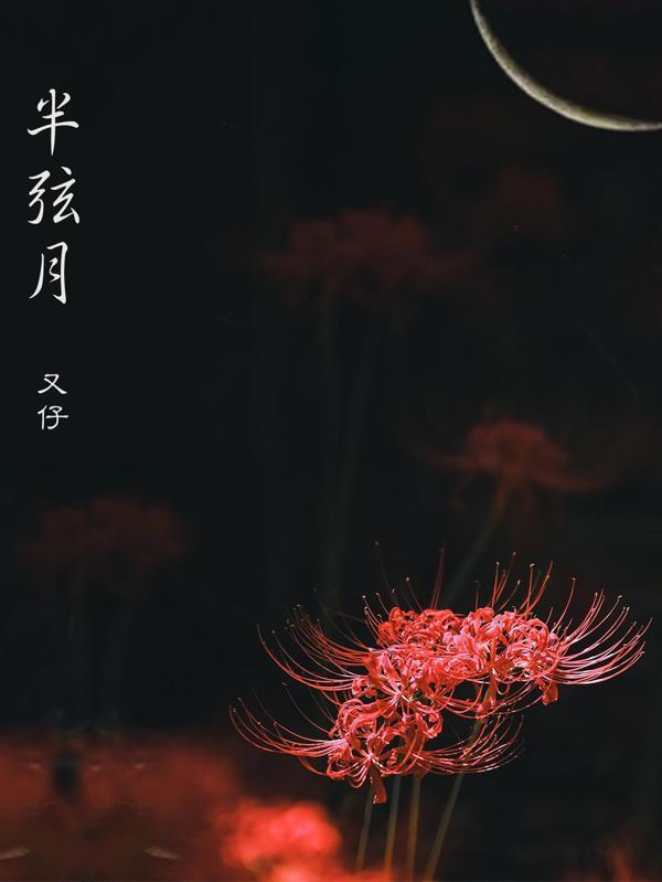 半弦月防摔蚊帐