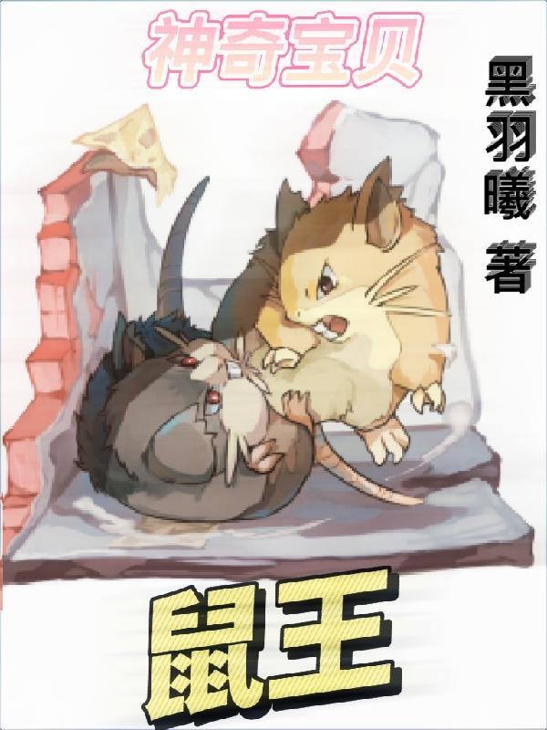 神奇宝贝老鼠精灵