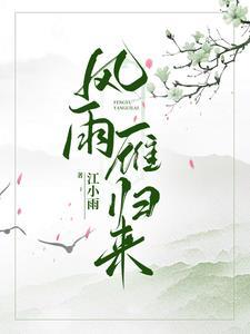 风雨燕归来全集介绍