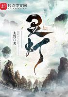 灵灯豆瓣评分
