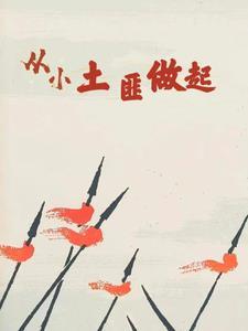 主角从土匪修仙的
