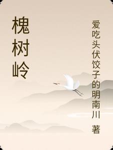 槐树岭公交站