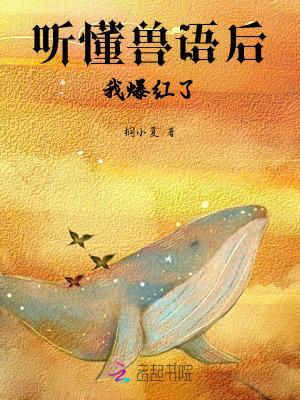 听兽大分享总结
