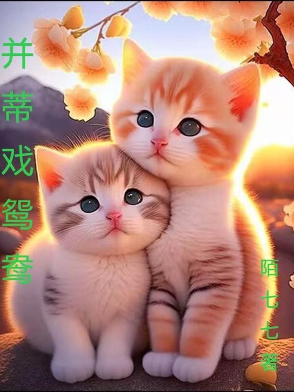 鸳鸯戏水全场戏