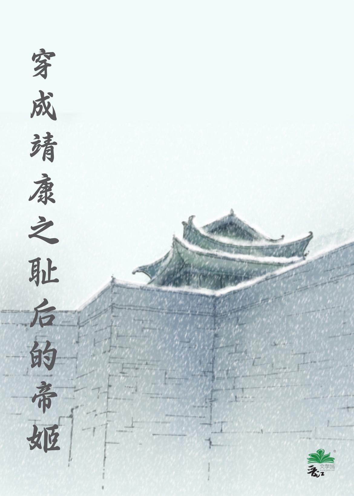 穿越靖康的