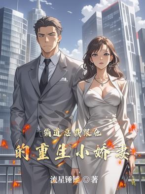 霸道总裁和他的小娇妻封面