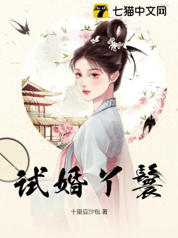 试婚丫鬟顾清欢