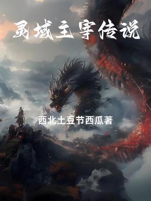 灵域的主人公是谁