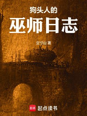 狗头人的巫师日志百科