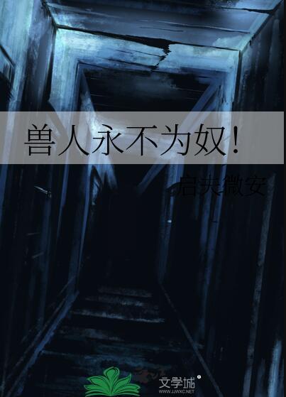 兽人永不为奴 启夫维安晋江