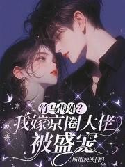 我嫁给了竹马的哥哥知乎
