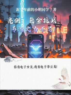 亮剑无限金条