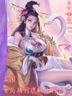 三国开局收服何皇后