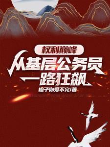 权力升迁路官路巅峰