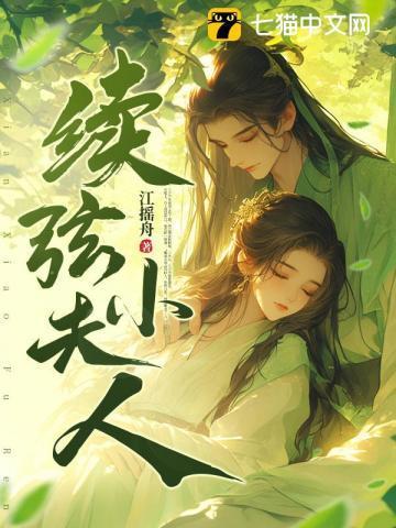 续弦小夫人全文