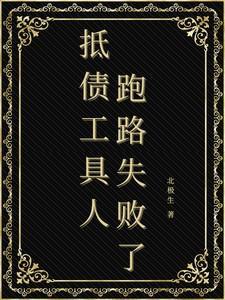 抵债说明